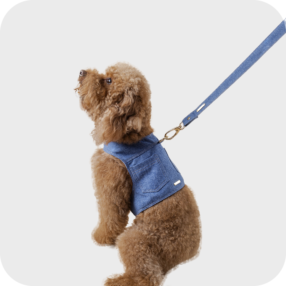 BLUE DENIM HARNESS