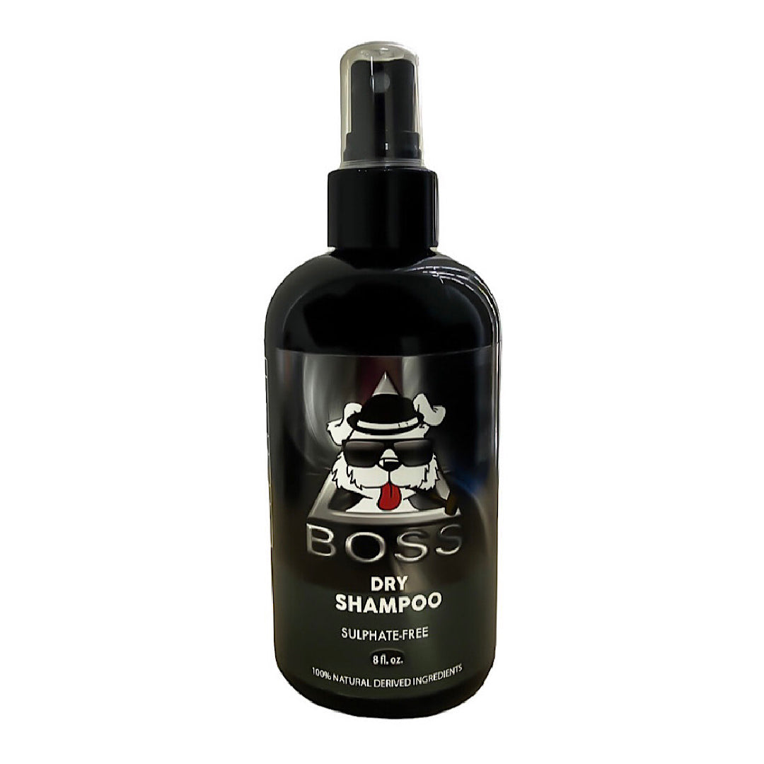 Boss Dry Shampoo 8FL OZ