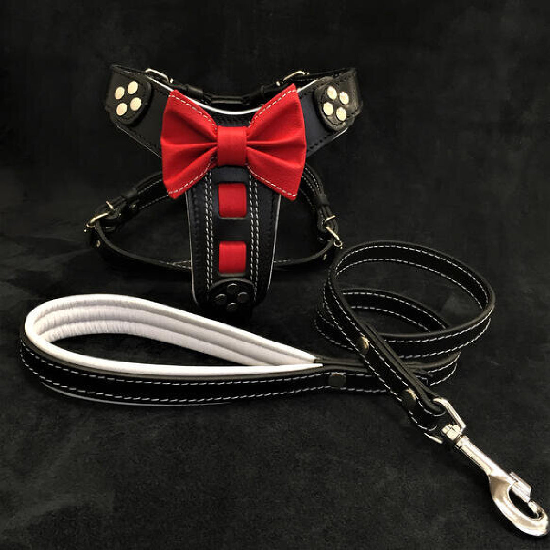 bestia custom dog gear The Black Leather Leash BESTIA – bossthepetconnection