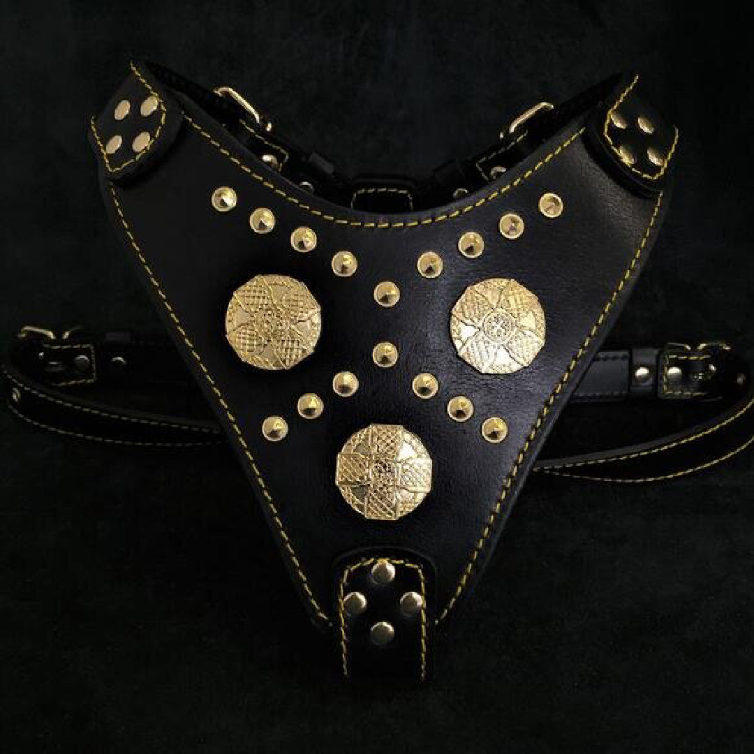 The ''Maximus'' harness Black & Gold BESTIA