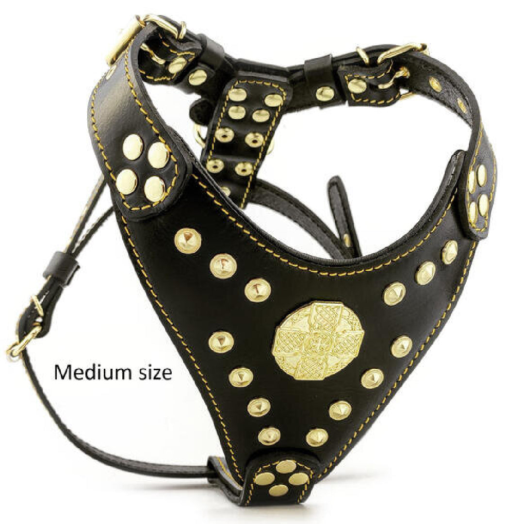 The ''Maximus'' harness Black & Gold BESTIA