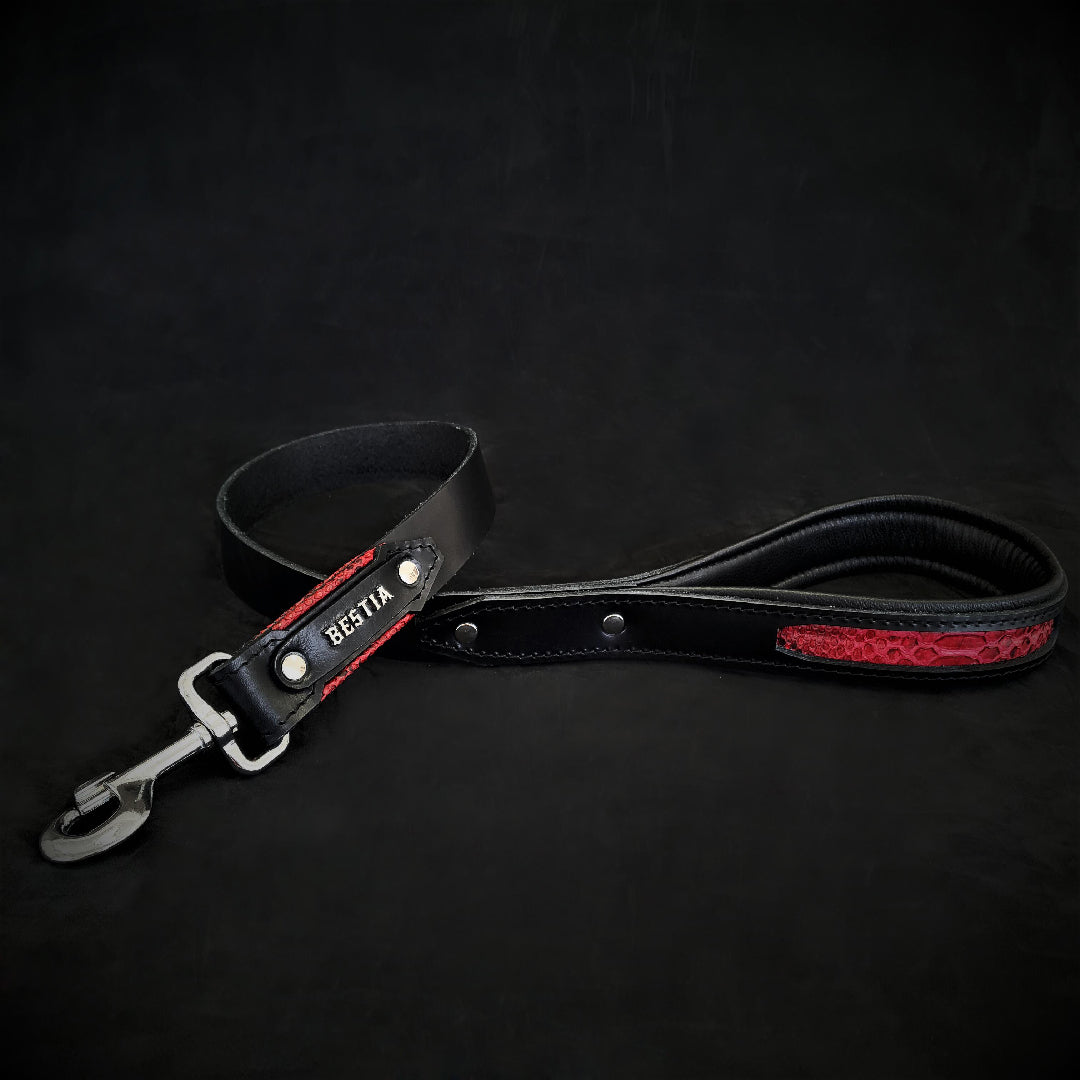 The ''Red Dragon'' Leash BESTIA