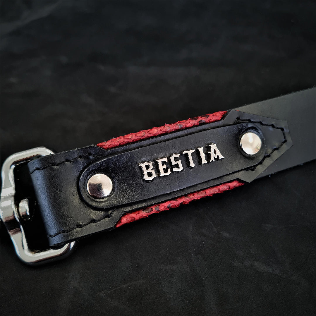 The ''Red Dragon'' Leash BESTIA