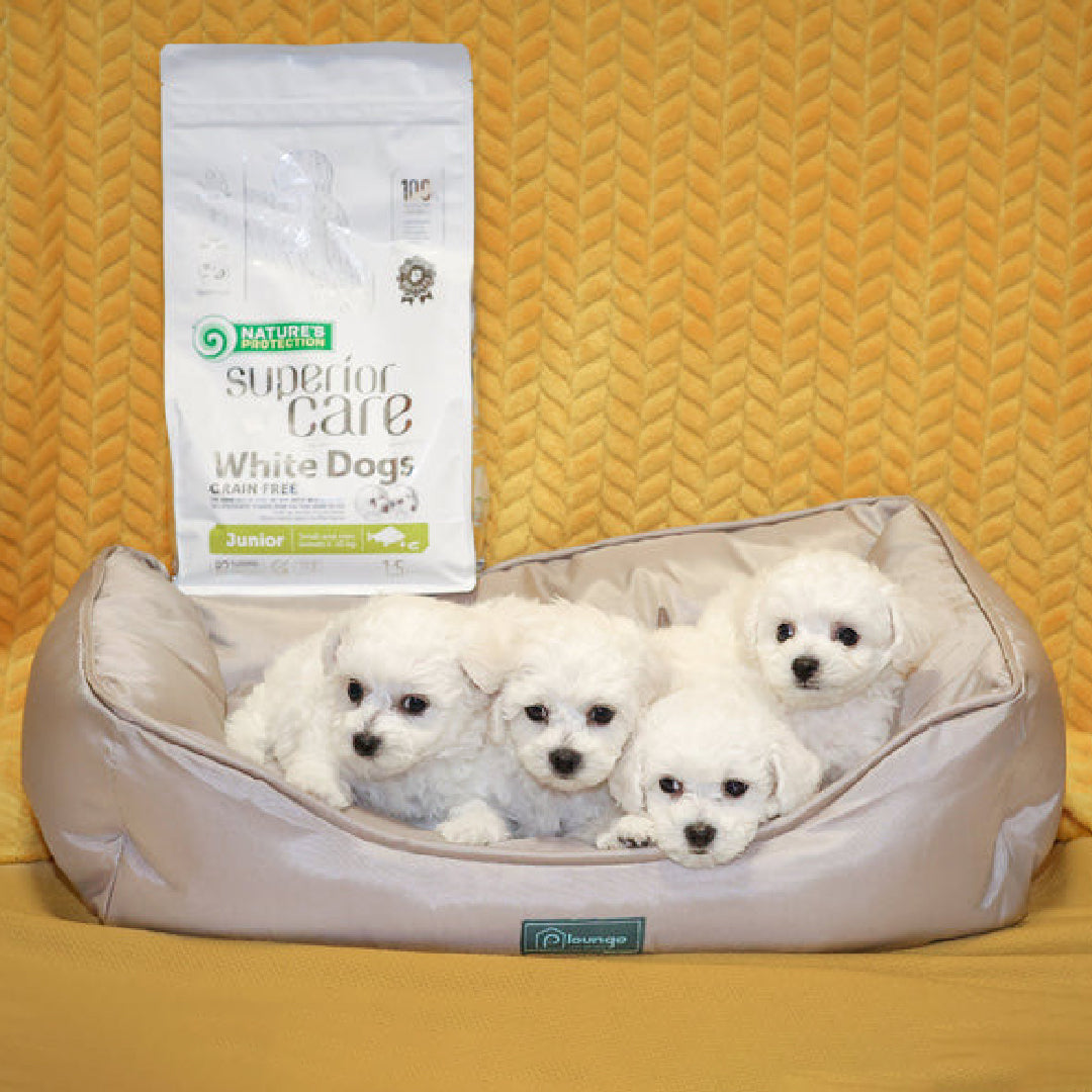 WHITE DOGS GRAIN FREE WHITE FISH JUNIOR SMALL AND MINI BREEDS