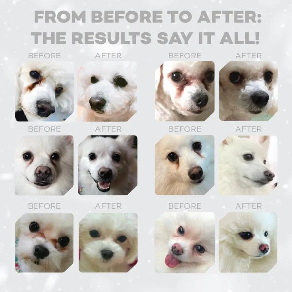 WHITE DOGS GRAIN FREE WHITE FISH JUNIOR ALL SIZES