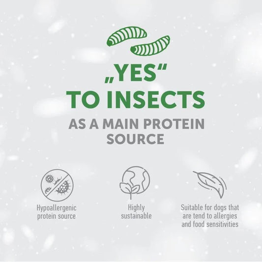 White Dogs Daily Oral Care Insects Grain Free 5.29 oz