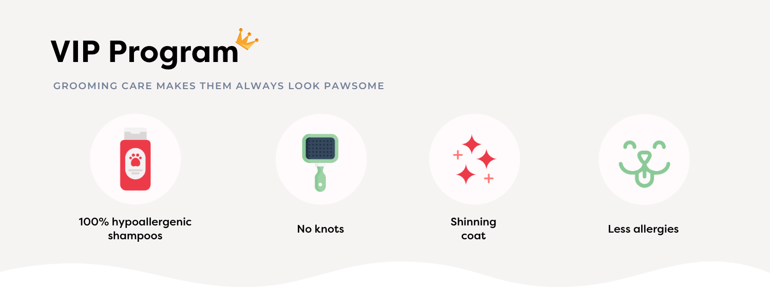 BOSS VIP MEMBERSHIP – bossthepetconnection