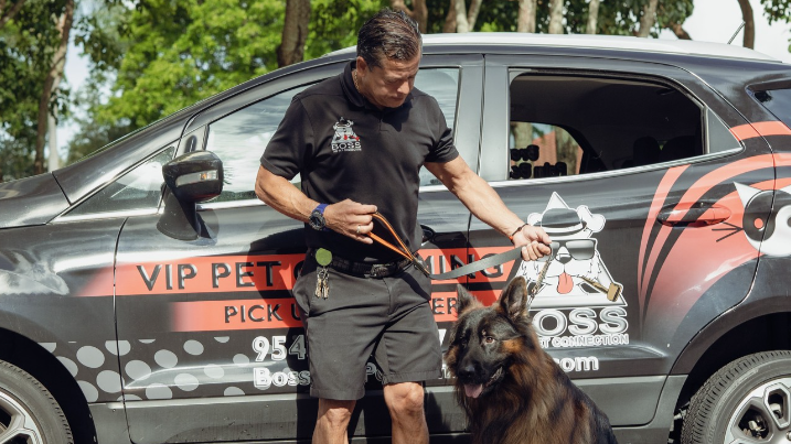 VIP PICK UP – bossthepetconnection