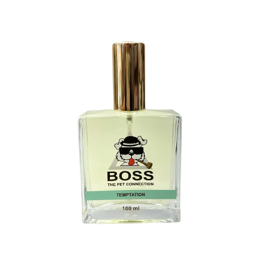Boss Fragrance Temptation