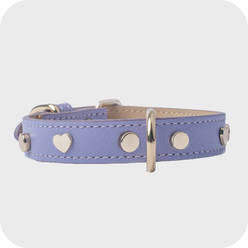 LILAC LEATHER COLLAR