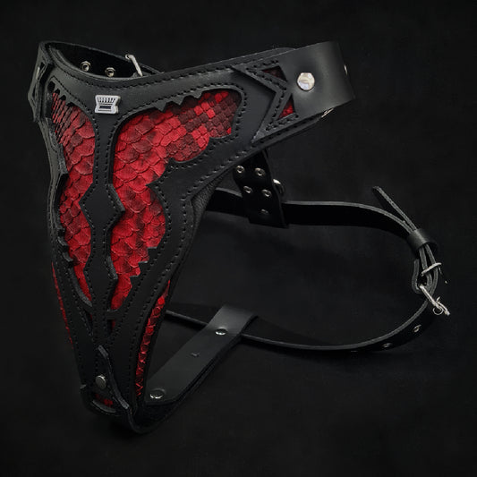 The ''Red Dragon'' Harness BESTIA