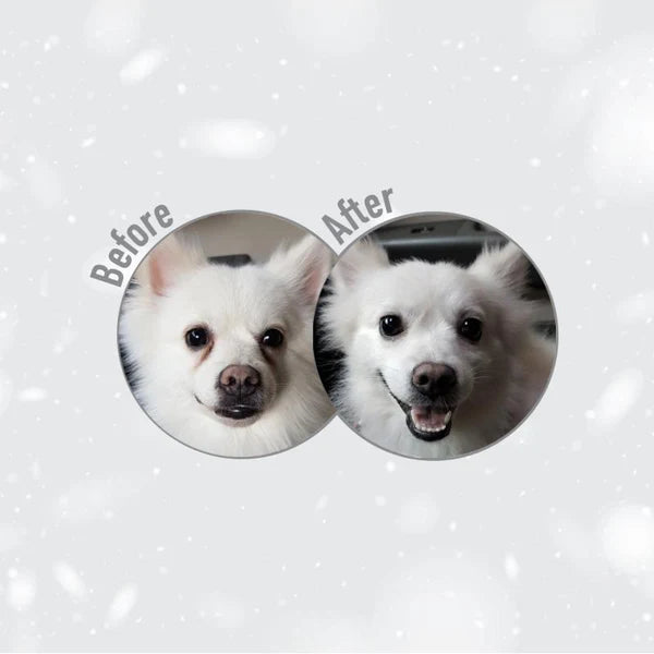 WHITE DOGS GRAIN FREE SALMON ADULT SMALL AND MINI BREED
